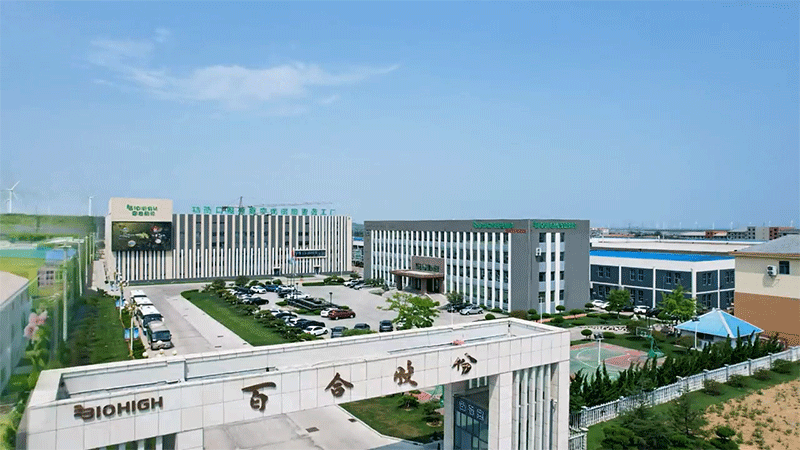 ȫٺϿG܊м8ܹSȫҕ