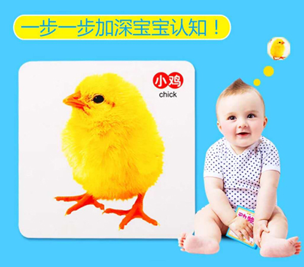 滋朵認(rèn)知啟蒙卡