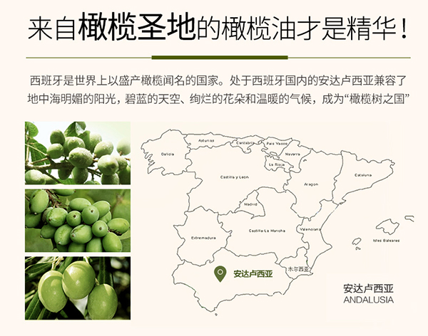 植物主義橄欖鮮果按摩油 (3).jpg