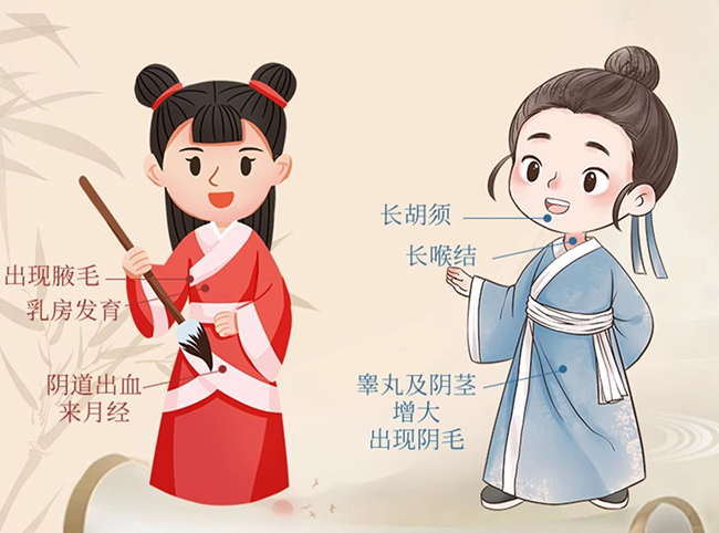 健蓓高卜小艾黃精茯苓固體飲料 (6).jpg