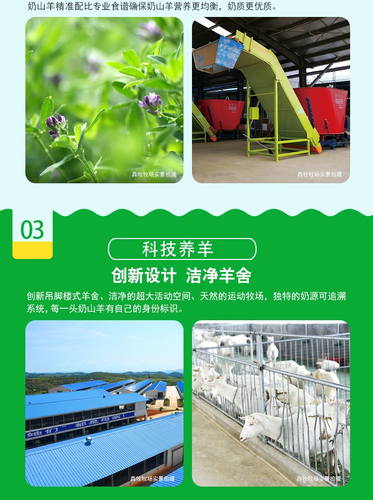 羴羊羊植物甾醇中老年配方羊奶粉詳情介紹 (4).jpg