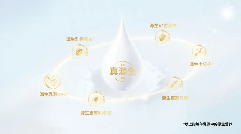 Spring Sheepdȫd׃̷^ע@GCBME06.jpg