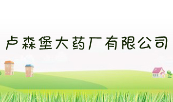 RɭˎS(chng)޹˾