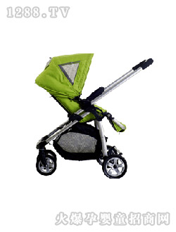 AͯGɫ܇(ch)DSC_0011