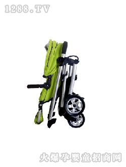 AͯGɫ܇(ch)DSC_0014