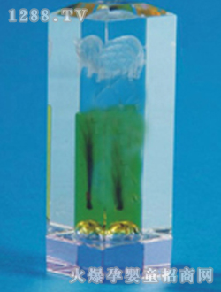 ��(��i)��̥ë���P��