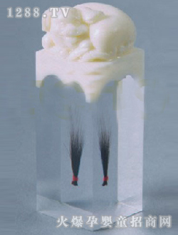 ��(��i)��̥ë������