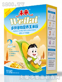 未來(lái)牌多種谷物營(yíng)養(yǎng)玉米粉2段375g