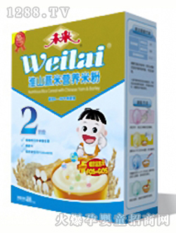 未來牌淮山薏米營養(yǎng)米粉2段400g