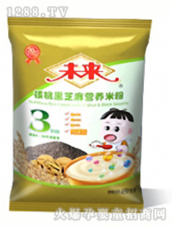 未來牌核桃黑芝麻營養(yǎng)米粉3段450g