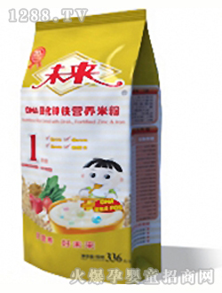 未來牌DHA強(qiáng)化鋅鐵營養(yǎng)米粉1段336g