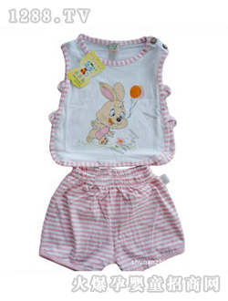 ANSEL����o��T��