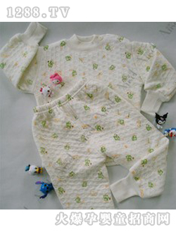 ANSEL���׃�(n��i)��