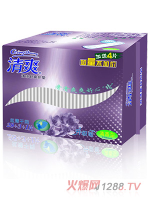 清爽護(hù)墊32片網(wǎng)